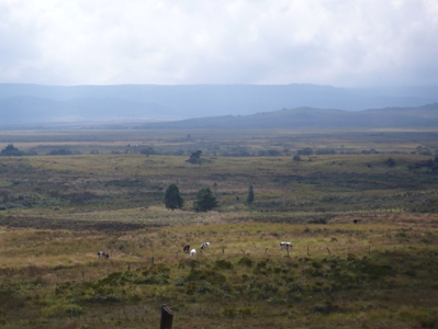 altiplano.jpg