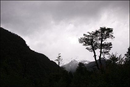 P1040808