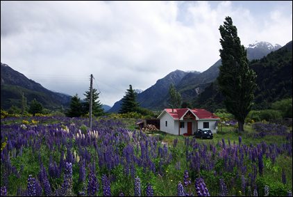 P1040843