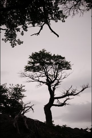 P1060516