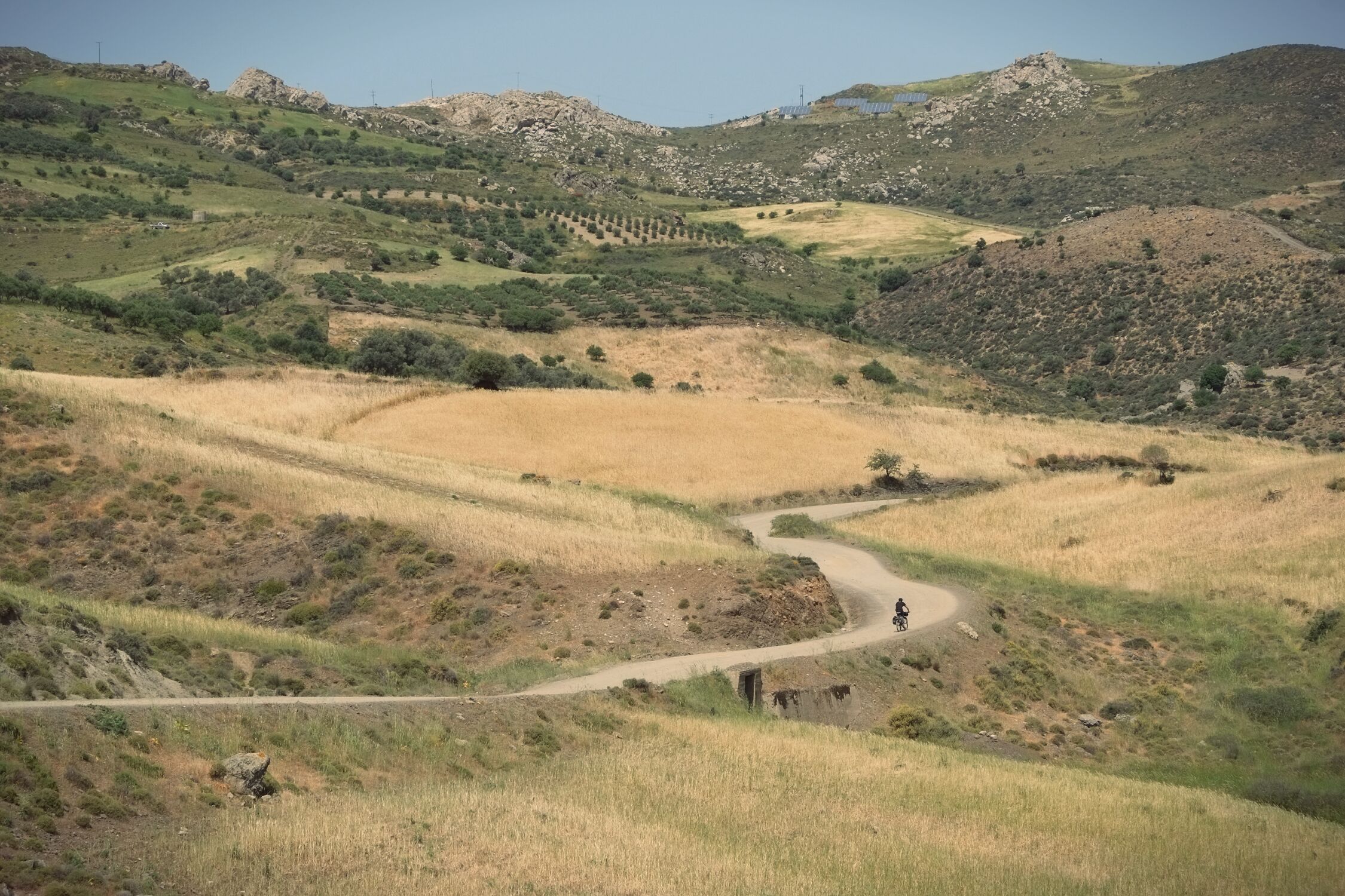 ...but once up there a terrific ride gently descending to the heat of the valley just north of the coastal range...