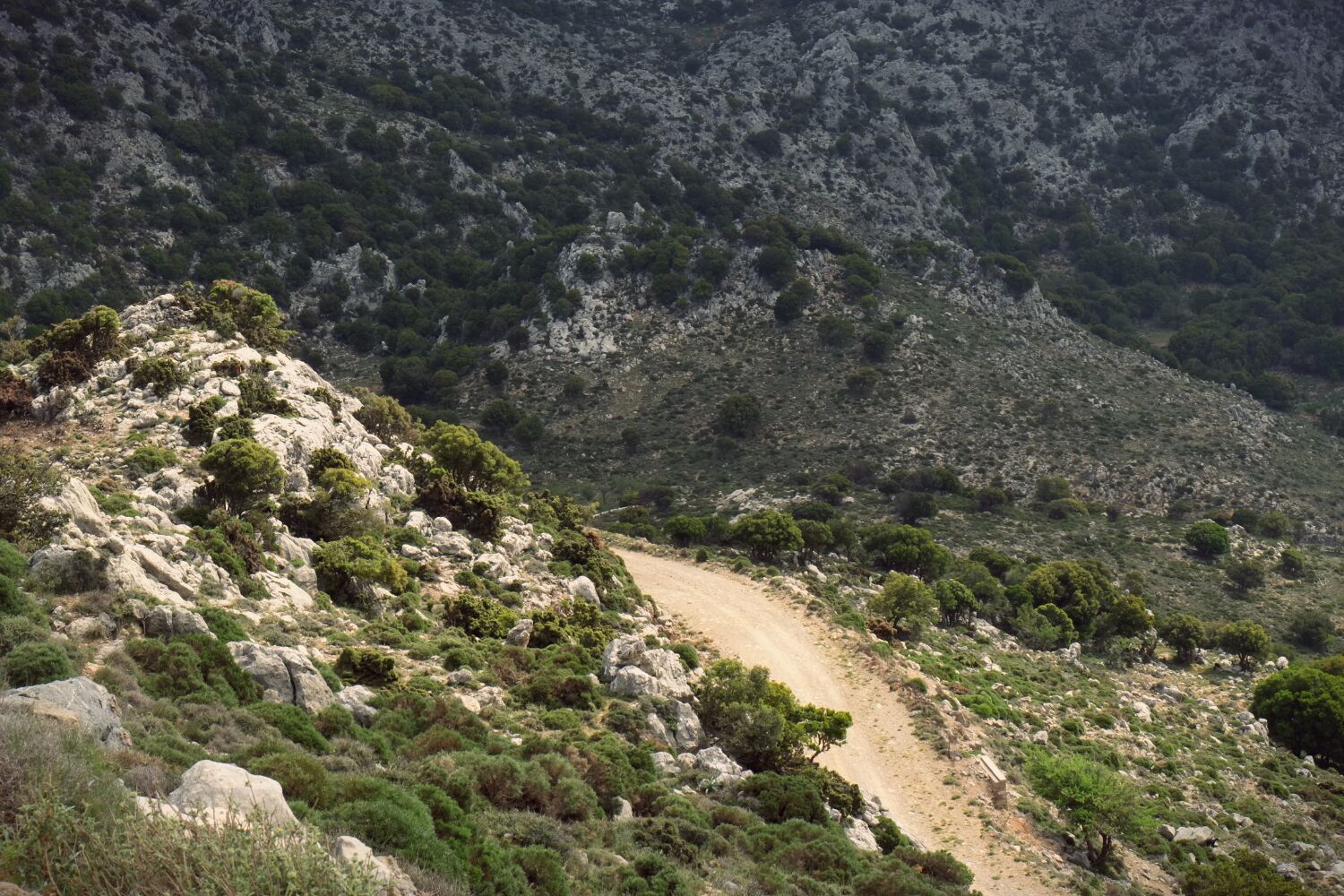 Leaving the Lasithi Plateau we hooked into the E4 traail once again which here took the form of a lovely dirt road climb back up to about 1500m...