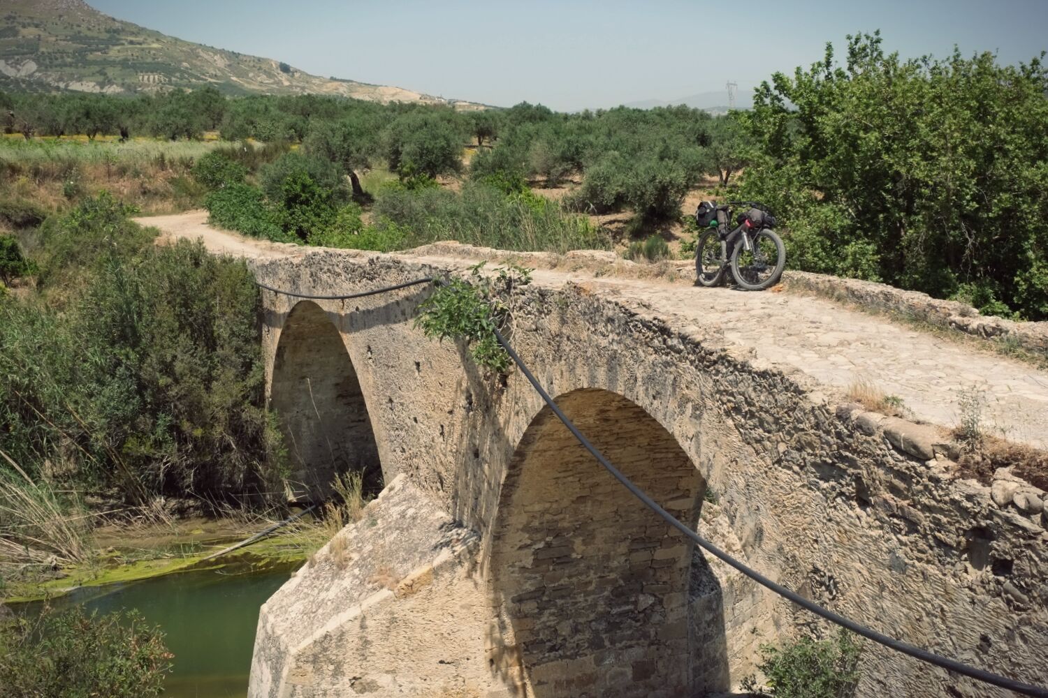Stumbled across a beautiful old stone bridge hidden in the olive groves near the village of Skinias. No idea how old... but it's cobbled road bed barely wide enough for a cart suggests 'quite old'...