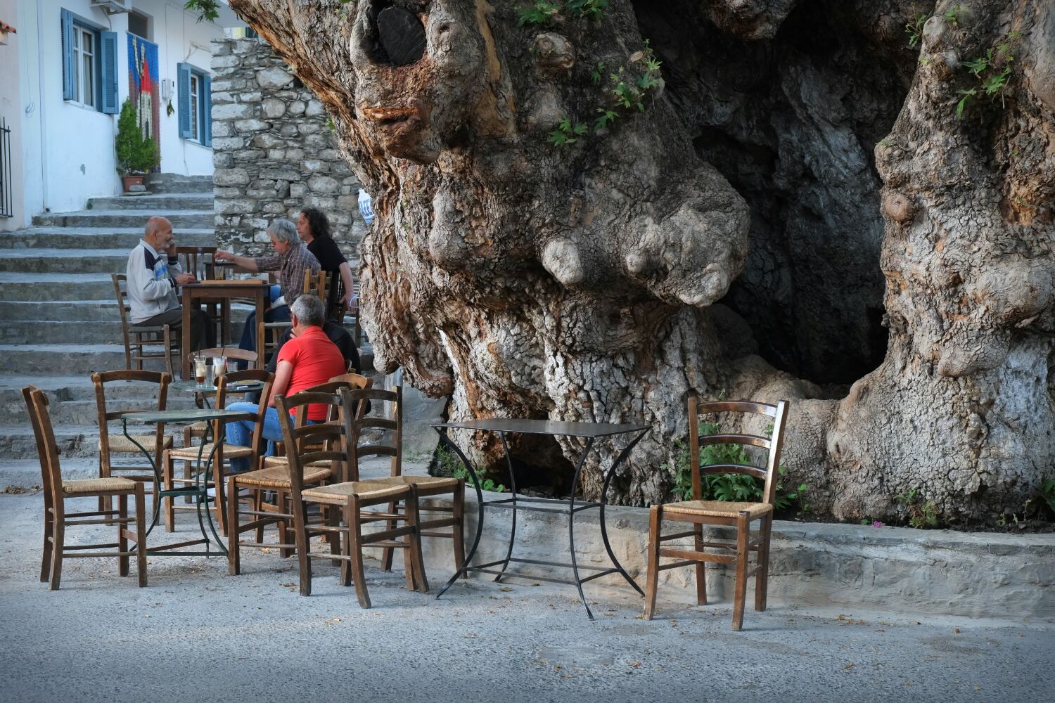 Giant old tree in the center of Ano Viannos. As with all the villages hereabouts it was a friendly place with a couple of good cafes to kick back and watch the world go by.