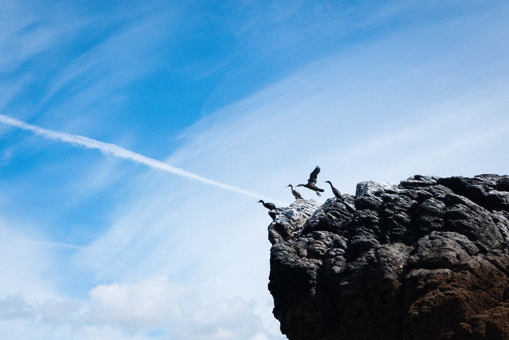 ..but there are times it can be limiting.. on the other hand it forces a bit of creativity sometimes.. like when trying to document some of the local bird life… One of my photographer friends described this photo as 'a statement on flight' given the vapour trail but I prefer 'Shags on a rock'.