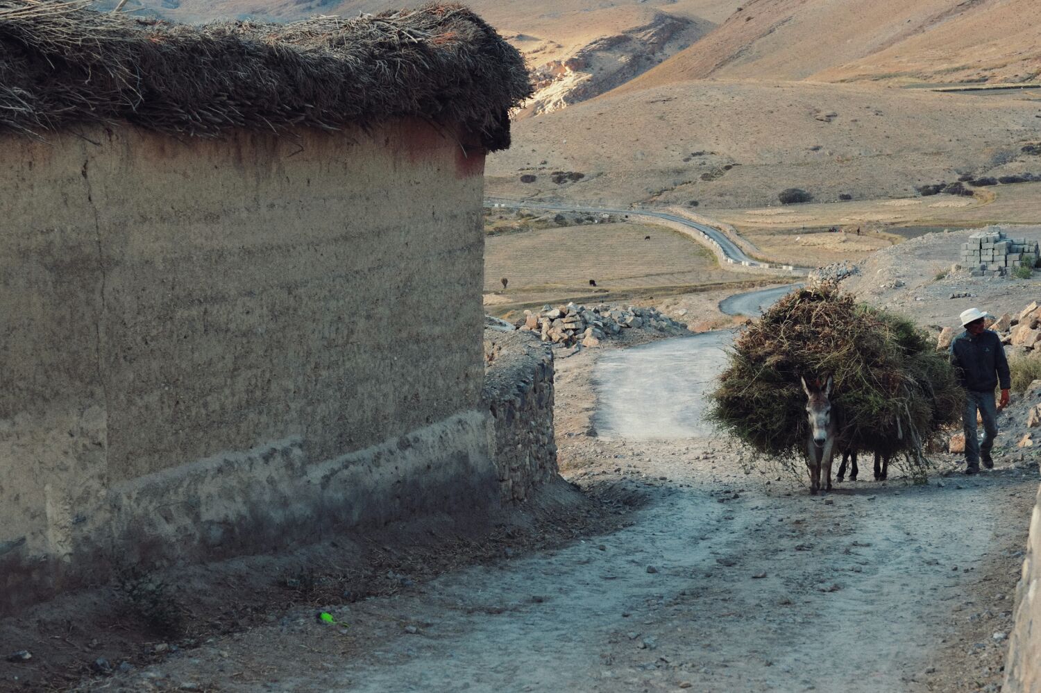 As with all the villages in the area folk are getting ready for winter.. bringing in huge loads of grass from the fields for winter animal feed.. stored on the roofs of the houses it also provides a degree of insulation from the bitter winter.