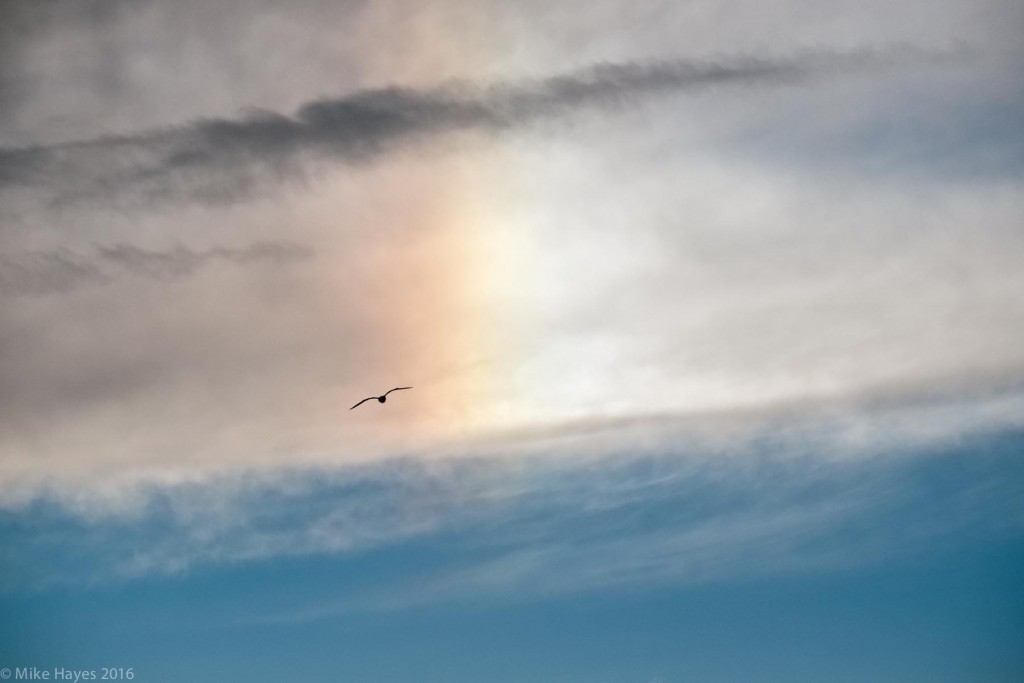 Ice crystals in the upper atmosphere doing their refraction thing on the trailing edge of a passing storm