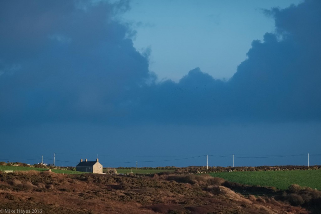 Love these lonely cottages