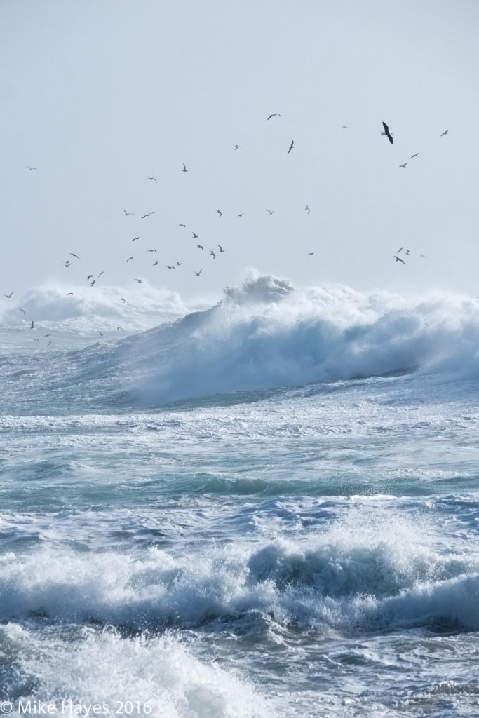 Birds wheeling just to the east of the Runnel Stone off Gwennap Head. A regular paddling spot.. but not today. It's rare to see it quite this violent.
