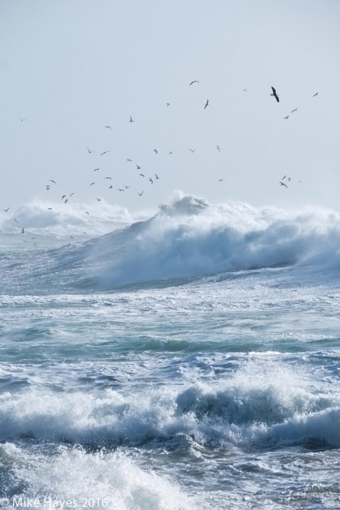 Birds wheeling just to the east of the Runnel Stone off Gwennap Head. A regular paddling spot.. but not today. It's rare to see it quite this violent. 