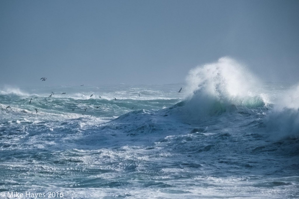 The taste of salt in the air, backlit waves and sea birds... wonderful.