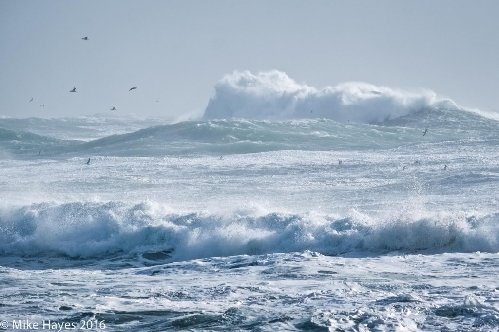 Mountainous seas. It was one of those where the swell is big enough to reveal the more deeply submerged reefs around Lands End as huge breakers piled up well offshore. Treacherous seas indeed.