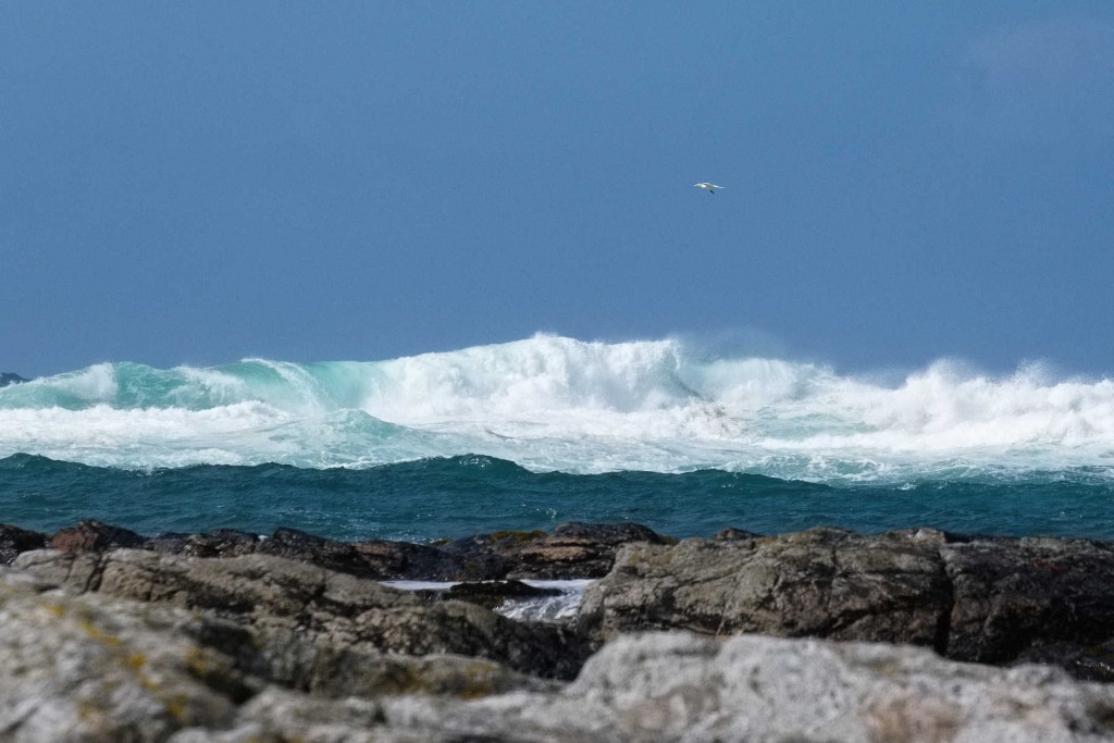 Huge swells pile up on offshore reefs.