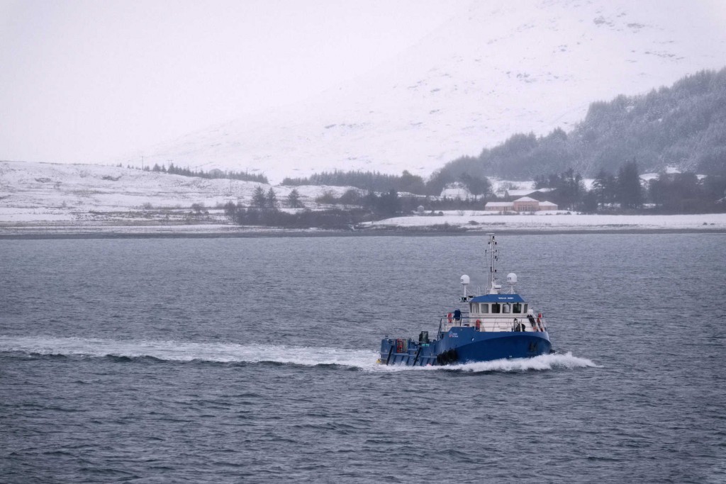 By the time I arrived in Oban for the ferry the snow was thick and the surrounding hills white...