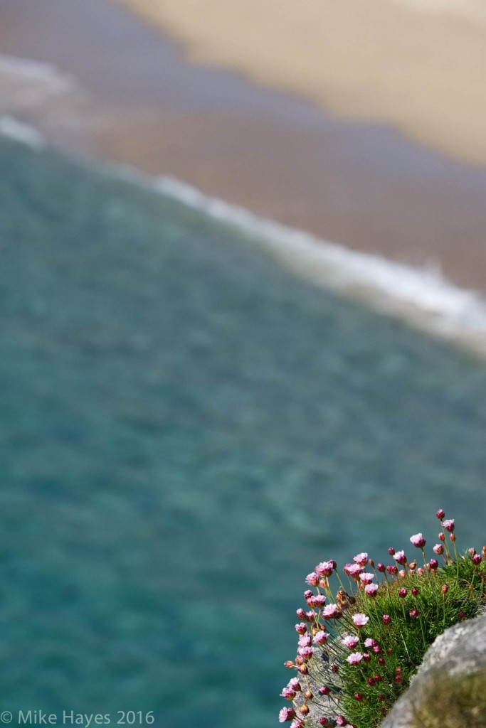 Truly a beautiful spot with the sea pinks, turquoise ocean and white sand.