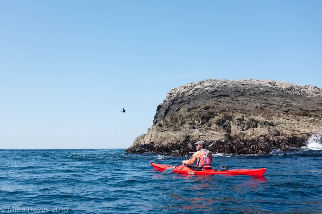 With perfect weather conditions and at slack tide we took the opportunity to explore some of the more remote islets to the west of the sound between Pabbay and Mingulay.