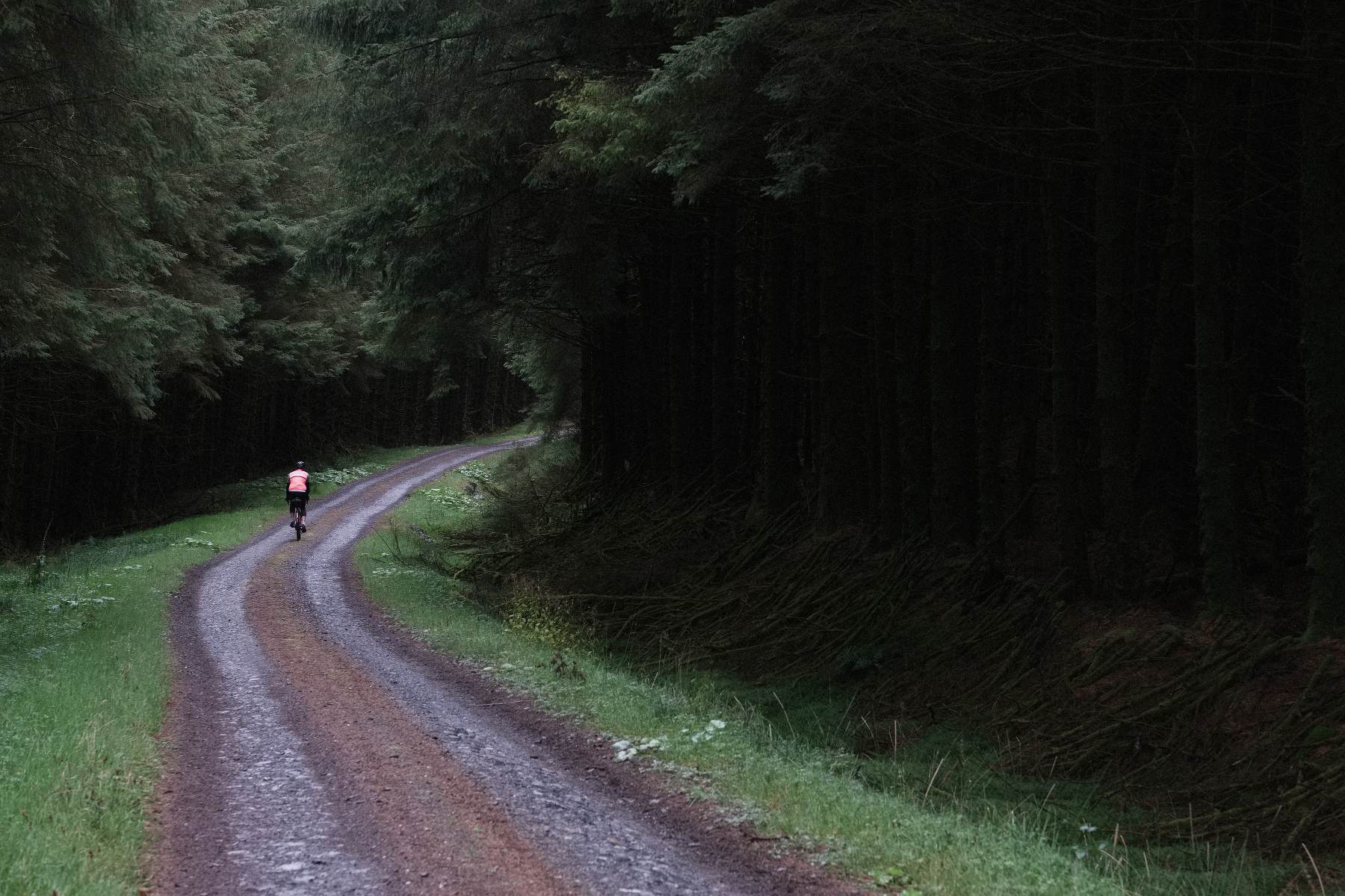 forest gravel road and cyclist