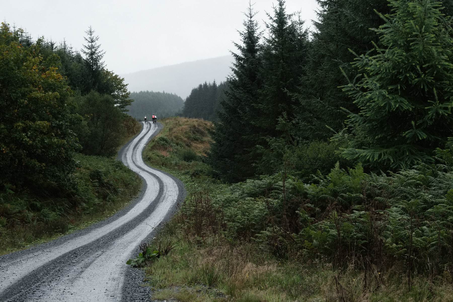 Gravel cycling in Galloway Forest