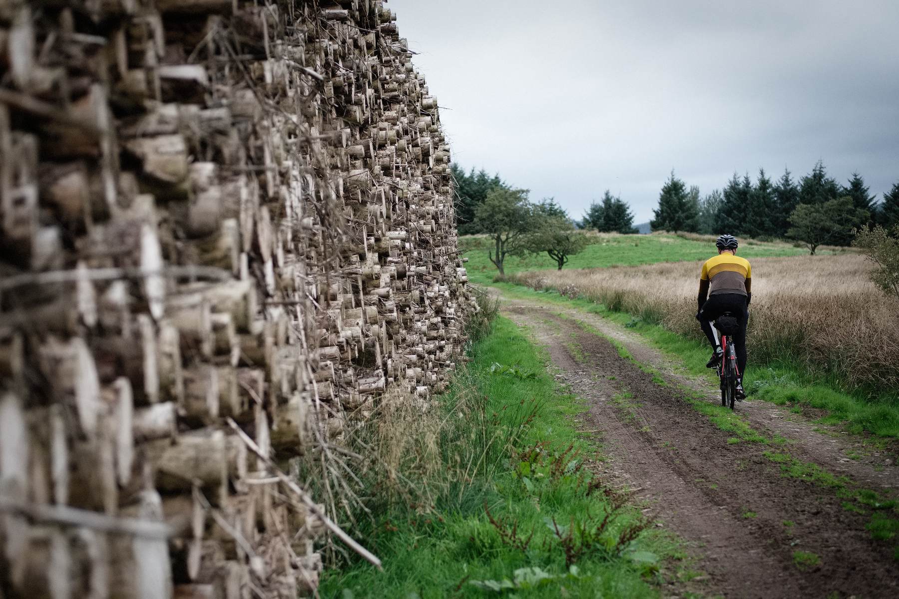 cyclist and log pile in Galloway forest park