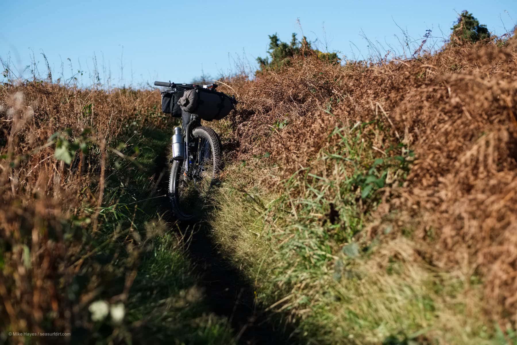 overgrown trails