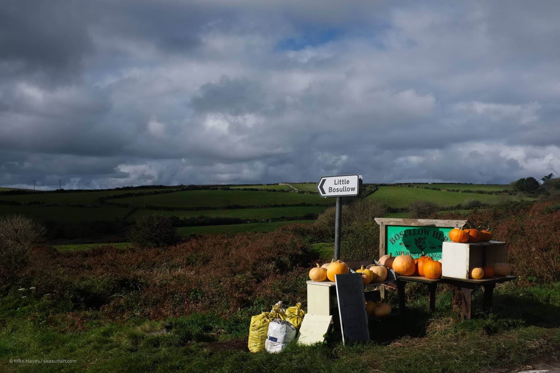 farm gate stall with pumpkins in west Penwith