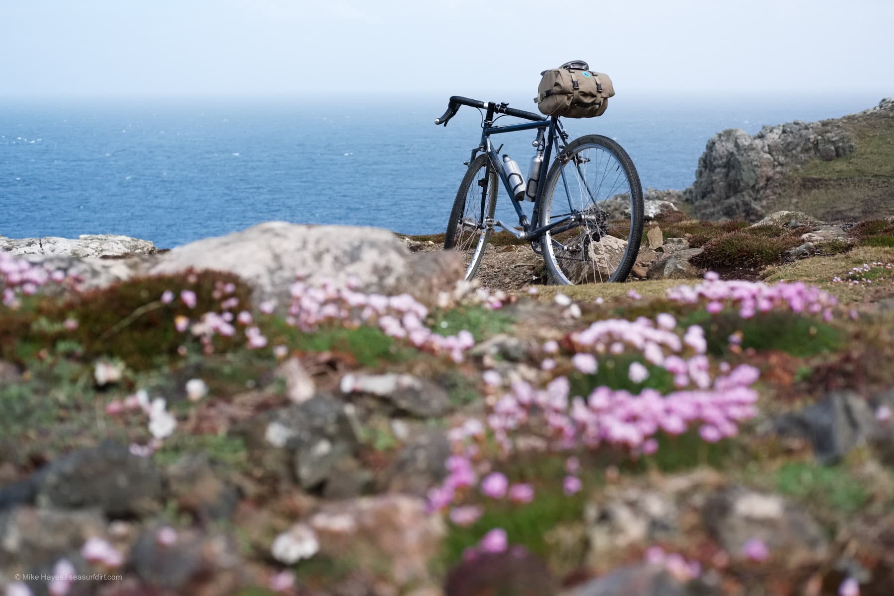 Sea thrift amongst the grey rocks of the tin coast